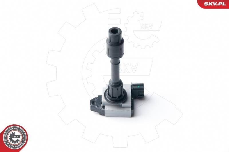 Ritė, uždegimas ESEN SKV 03SKV225