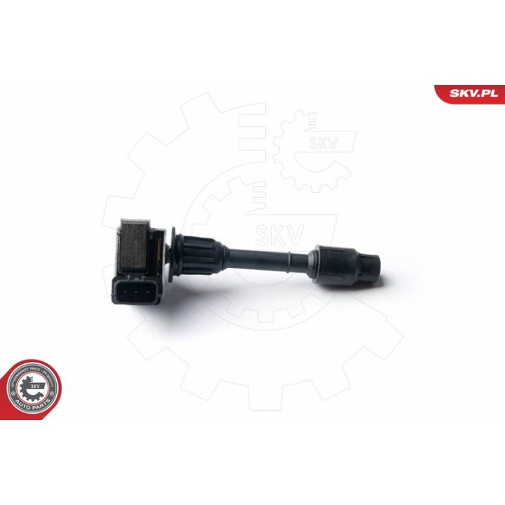 Ritė, uždegimas ESEN SKV 03SKV225