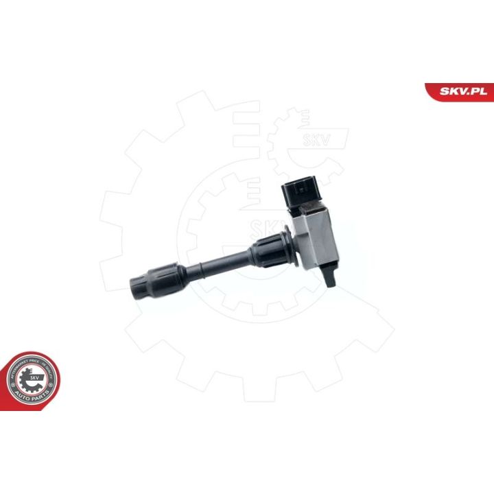 Ritė, uždegimas ESEN SKV 03SKV225