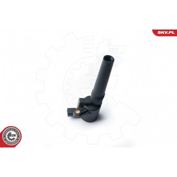 Ritė, uždegimas ESEN SKV 03SKV226