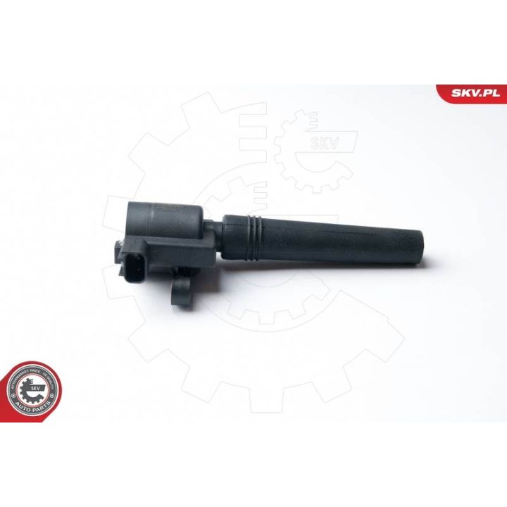 Ritė, uždegimas ESEN SKV 03SKV226