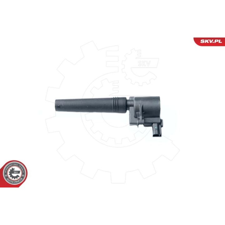 Ritė, uždegimas ESEN SKV 03SKV226