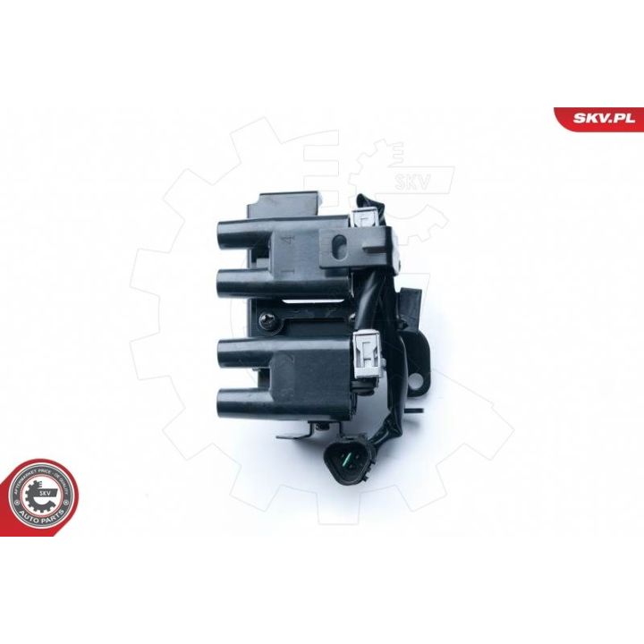 Ritė, uždegimas ESEN SKV 03SKV229