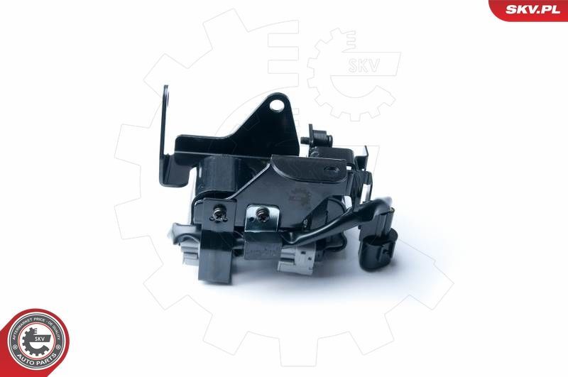 Ritė, uždegimas ESEN SKV 03SKV229