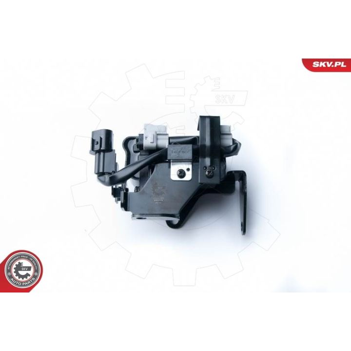 Ritė, uždegimas ESEN SKV 03SKV229