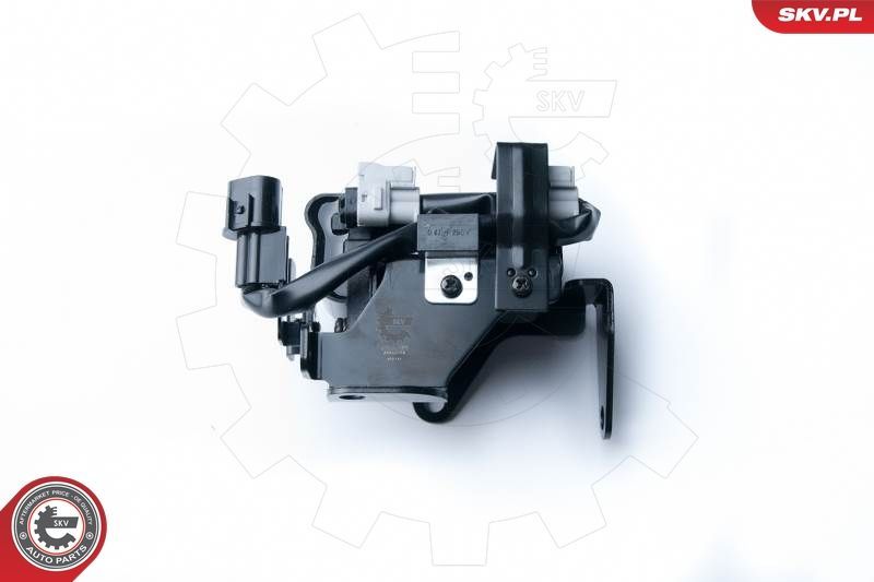 Ritė, uždegimas ESEN SKV 03SKV229