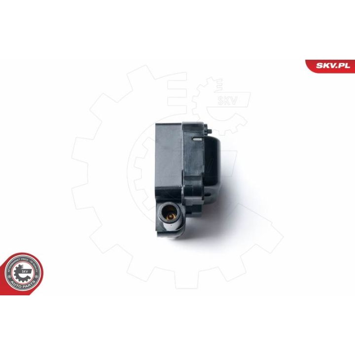 Ritė, uždegimas ESEN SKV 03SKV230