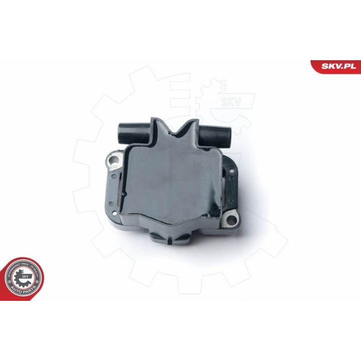 Ritė, uždegimas ESEN SKV 03SKV230