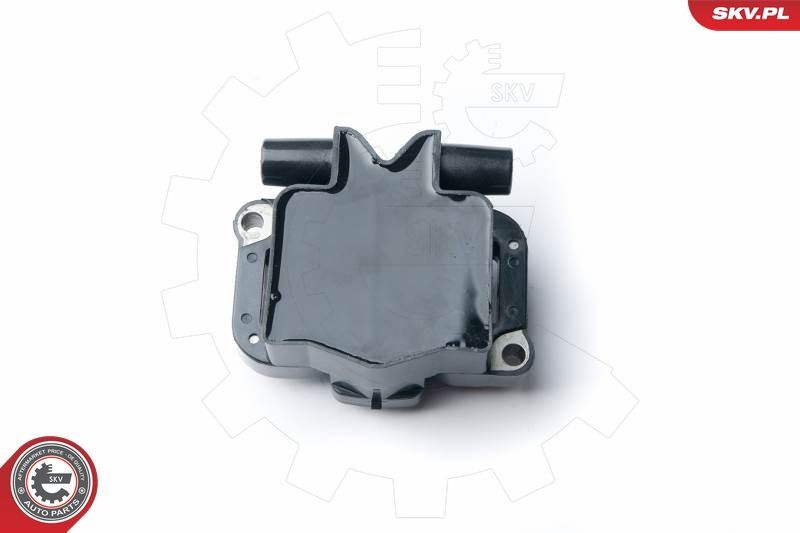 Ritė, uždegimas ESEN SKV 03SKV230