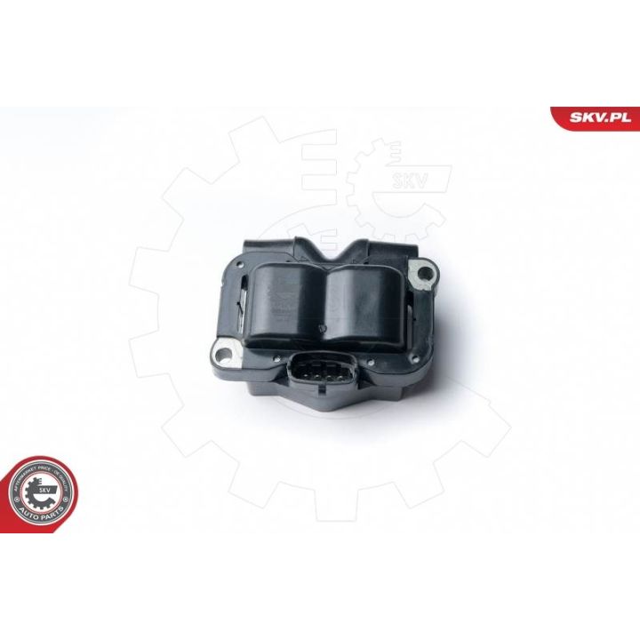 Ritė, uždegimas ESEN SKV 03SKV230