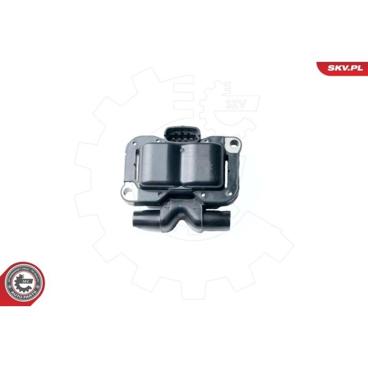 Ritė, uždegimas ESEN SKV 03SKV230