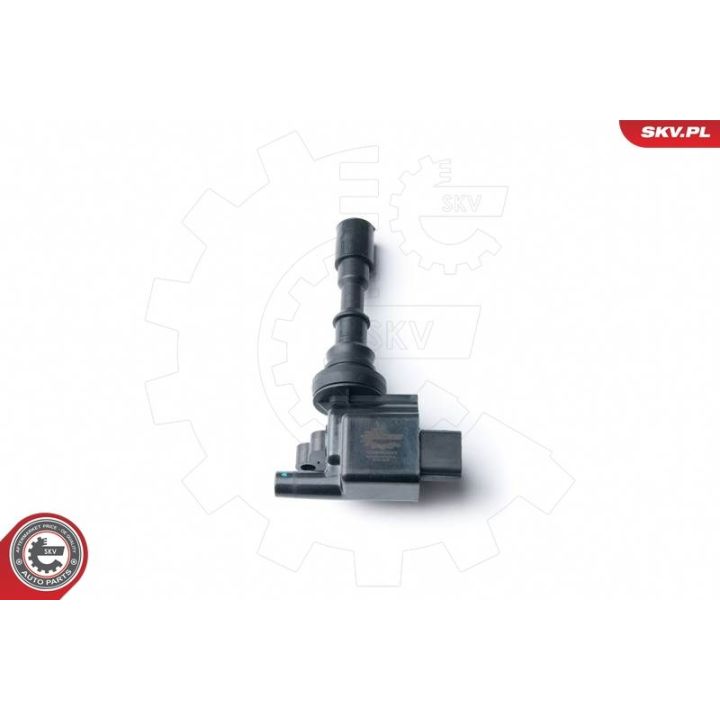 Ritė, uždegimas ESEN SKV 03SKV232