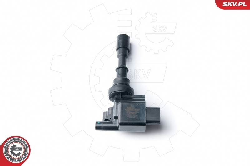 Ritė, uždegimas ESEN SKV 03SKV232