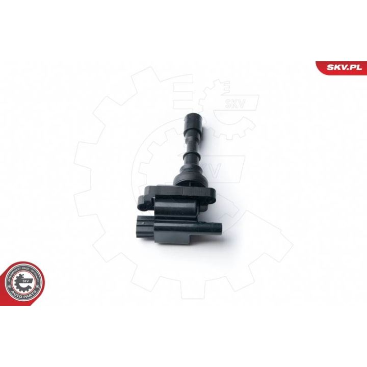 Ritė, uždegimas ESEN SKV 03SKV232