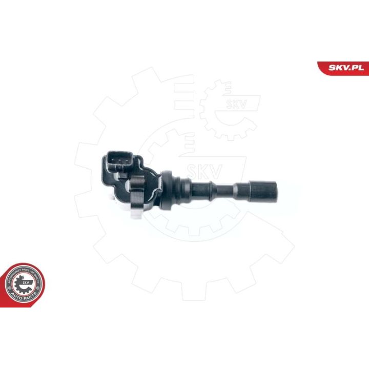 Ritė, uždegimas ESEN SKV 03SKV232