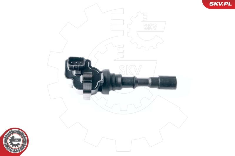 Ritė, uždegimas ESEN SKV 03SKV232