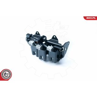 Ritė, uždegimas ESEN SKV 03SKV234