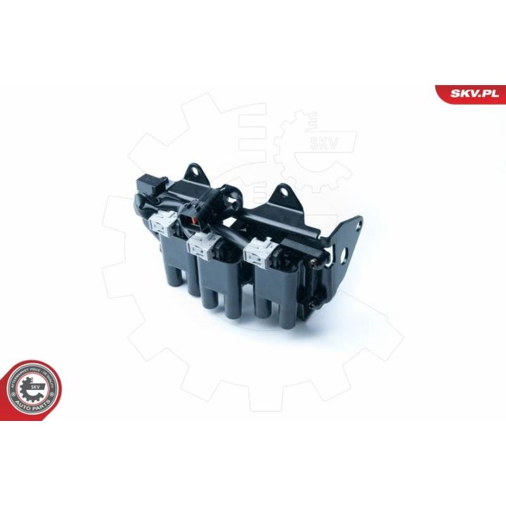 Ritė, uždegimas ESEN SKV 03SKV234