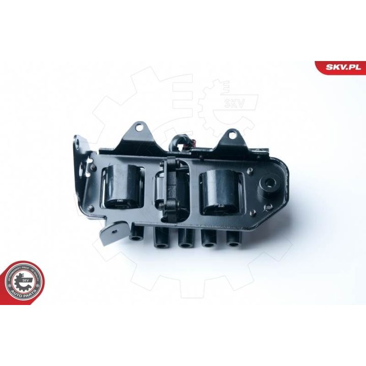 Ritė, uždegimas ESEN SKV 03SKV234