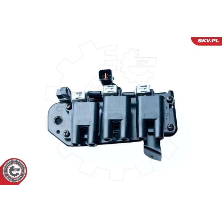 Ritė, uždegimas ESEN SKV 03SKV234