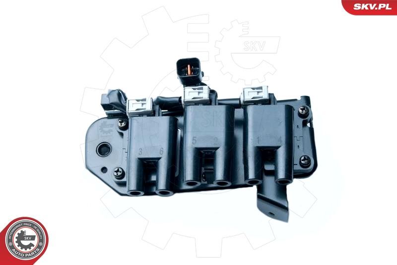 Ritė, uždegimas ESEN SKV 03SKV234