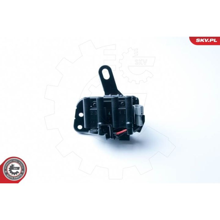 Ritė, uždegimas ESEN SKV 03SKV237