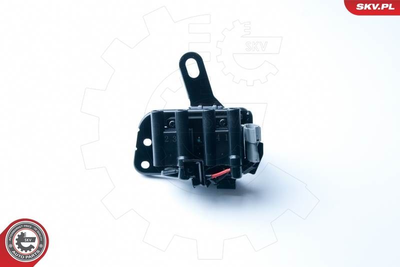 Ritė, uždegimas ESEN SKV 03SKV237