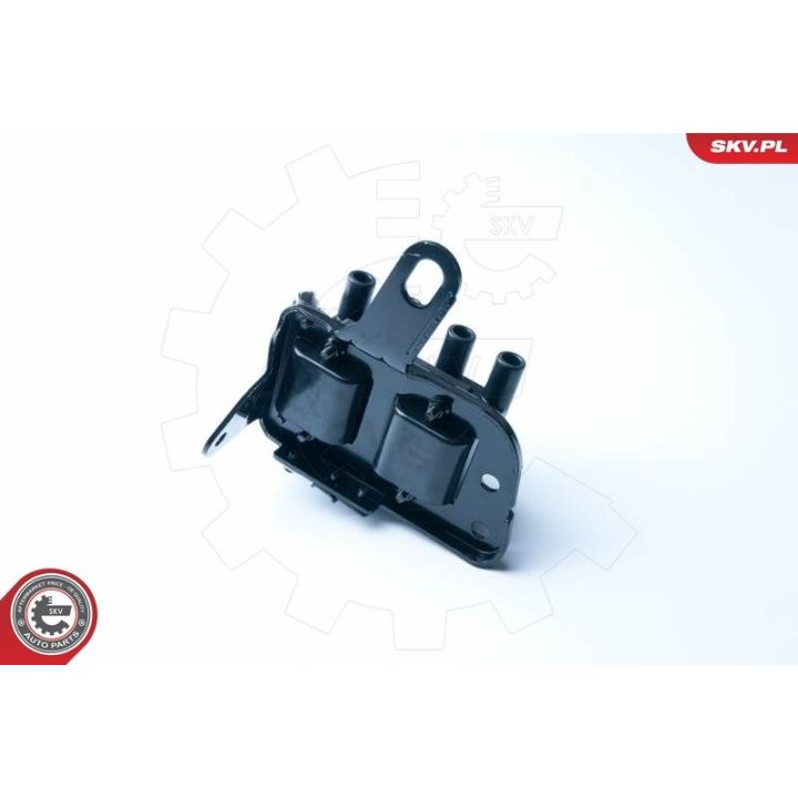 Ritė, uždegimas ESEN SKV 03SKV237