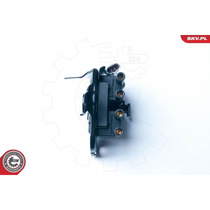 Ritė, uždegimas ESEN SKV 03SKV237