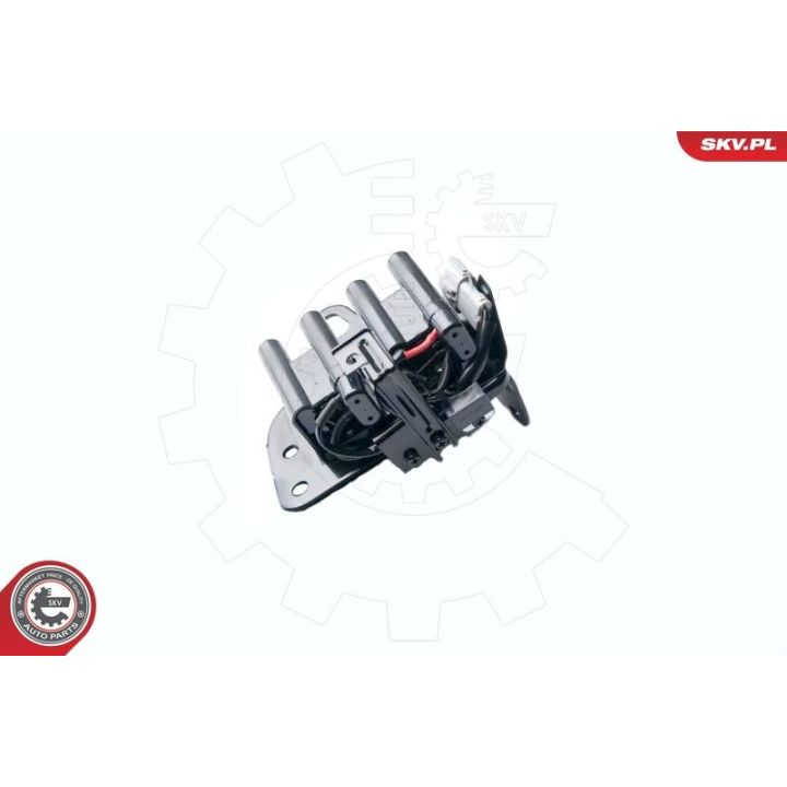 Ritė, uždegimas ESEN SKV 03SKV237