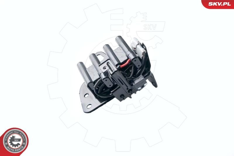 Ritė, uždegimas ESEN SKV 03SKV237