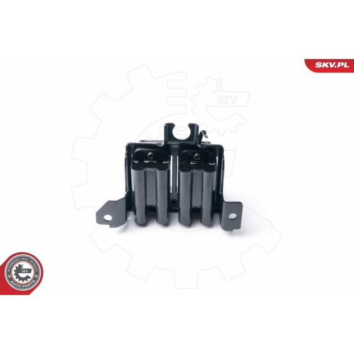 Ritė, uždegimas ESEN SKV 03SKV239