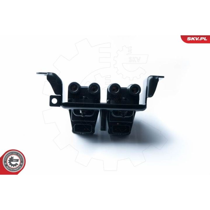 Ritė, uždegimas ESEN SKV 03SKV239