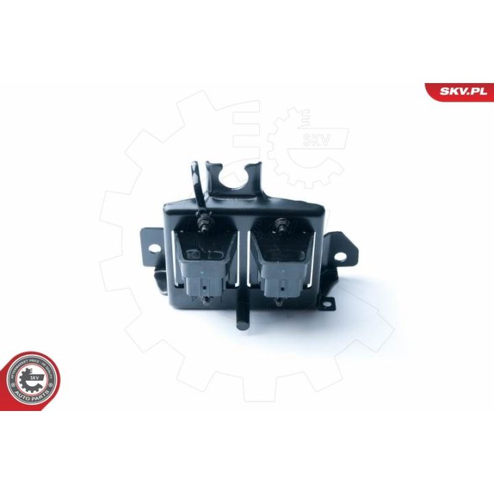 Ritė, uždegimas ESEN SKV 03SKV239