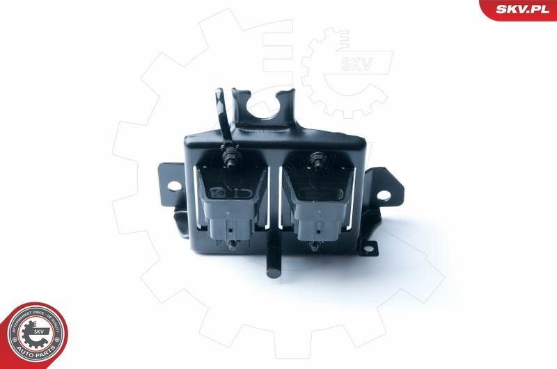 Ritė, uždegimas ESEN SKV 03SKV239