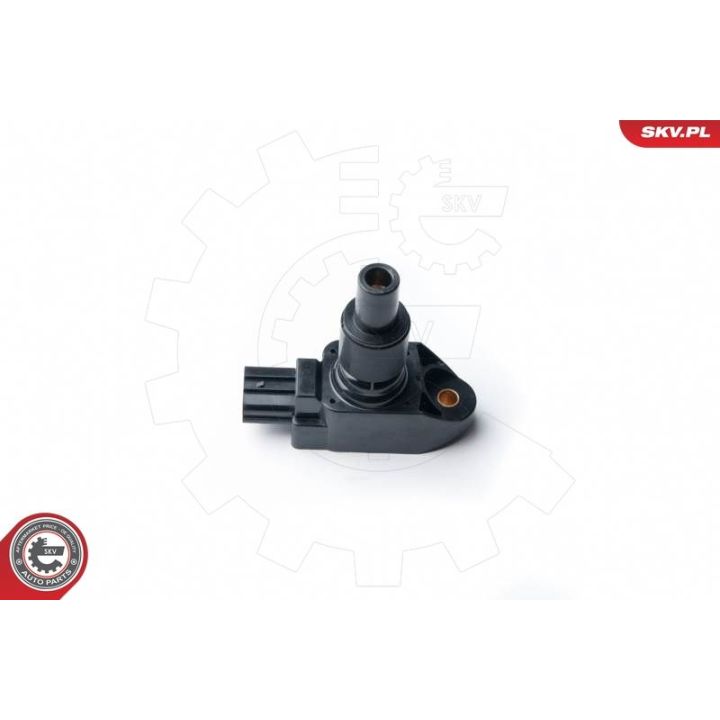 Ritė, uždegimas ESEN SKV 03SKV243