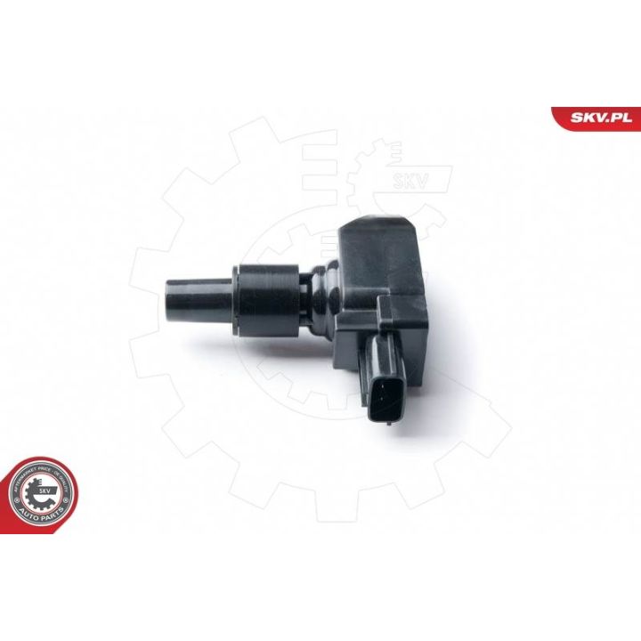 Ritė, uždegimas ESEN SKV 03SKV243