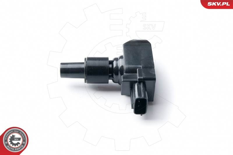 Ritė, uždegimas ESEN SKV 03SKV243