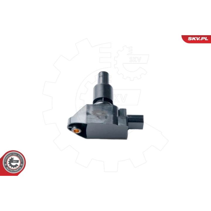 Ritė, uždegimas ESEN SKV 03SKV243