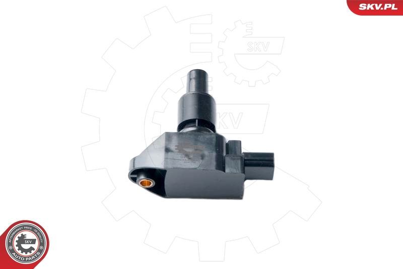 Ritė, uždegimas ESEN SKV 03SKV243