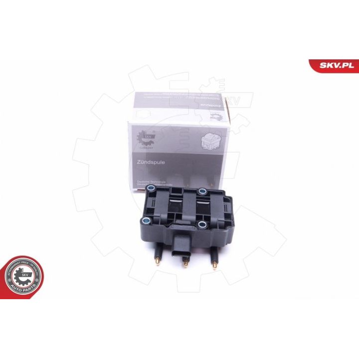 Ritė, uždegimas ESEN SKV 03SKV248