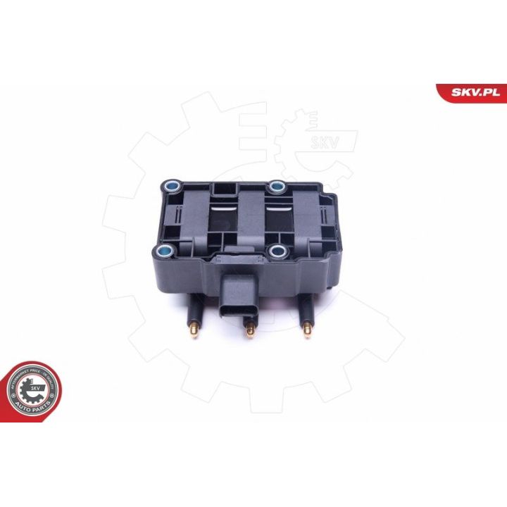 Ritė, uždegimas ESEN SKV 03SKV248