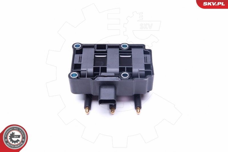 Ritė, uždegimas ESEN SKV 03SKV248