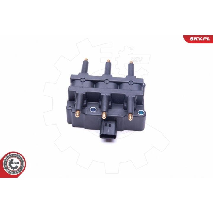 Ritė, uždegimas ESEN SKV 03SKV248