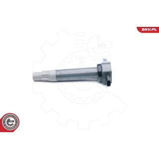 Ritė, uždegimas ESEN SKV 03SKV251