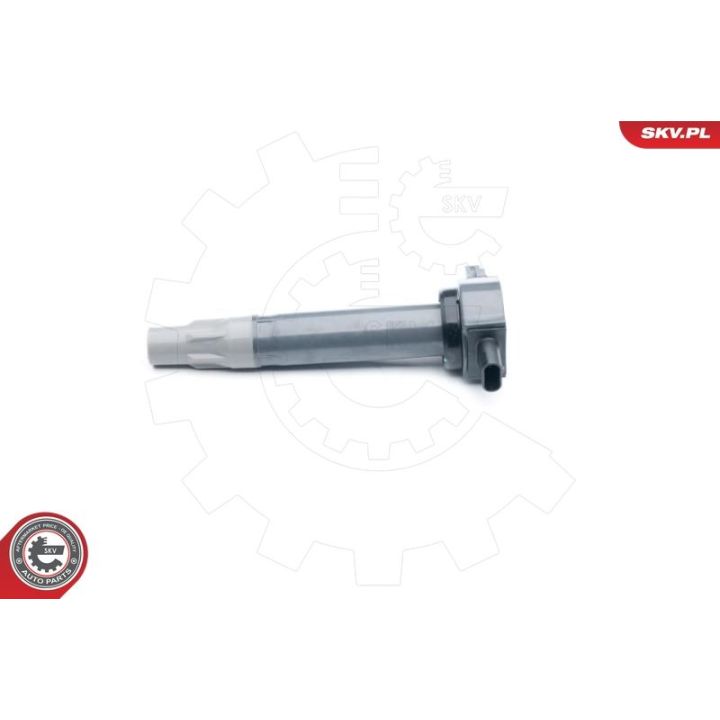Ritė, uždegimas ESEN SKV 03SKV251
