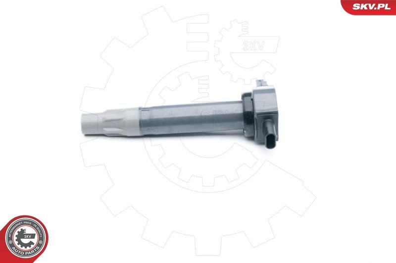 Ritė, uždegimas ESEN SKV 03SKV251