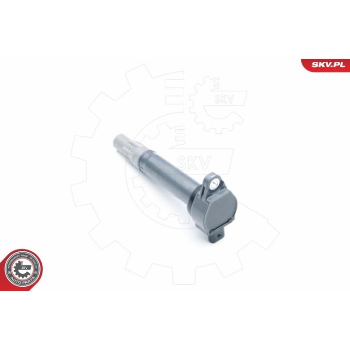 Ritė, uždegimas ESEN SKV 03SKV251