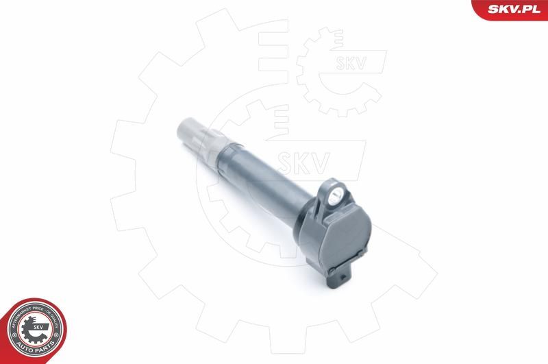 Ritė, uždegimas ESEN SKV 03SKV251