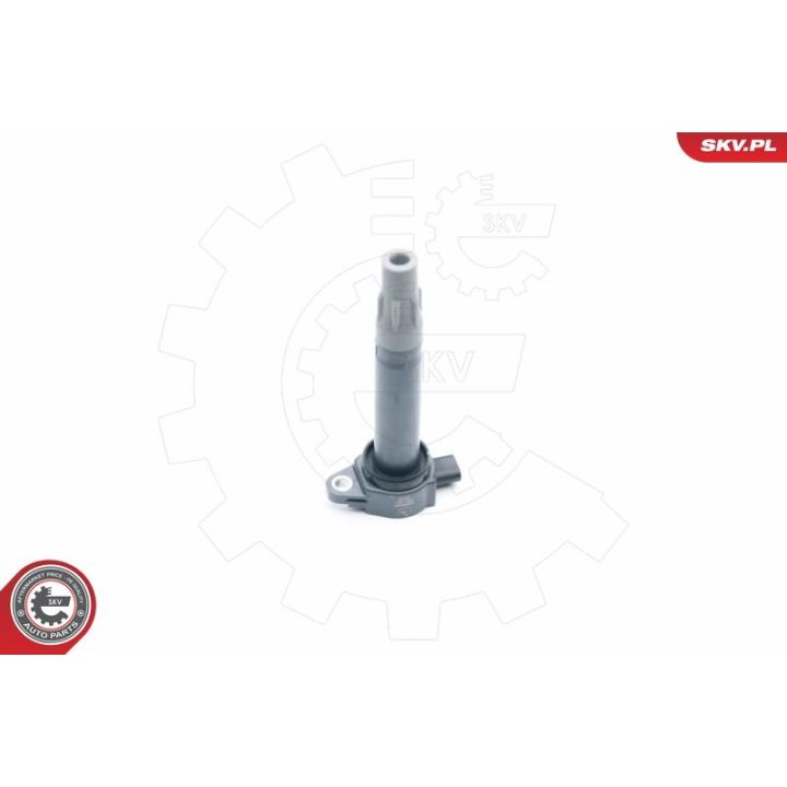 Ritė, uždegimas ESEN SKV 03SKV251